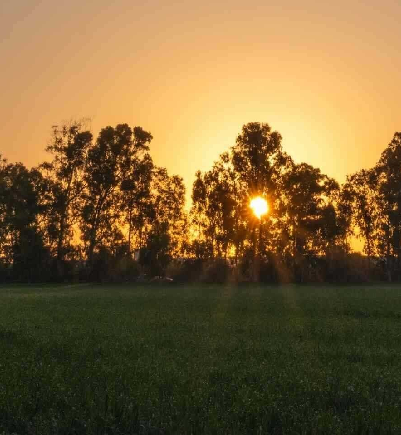 צילום: בוני שיינמן, קק''ל