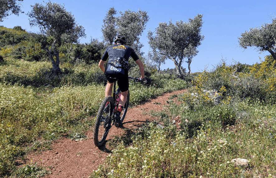 צילום: אריק פלדמן, ארכיון הצילומים של קק''ל