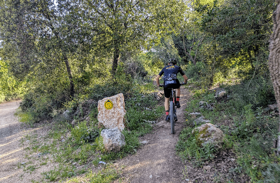 צילום: אריק פלדמן, ארכיון הצילומים של קק''ל