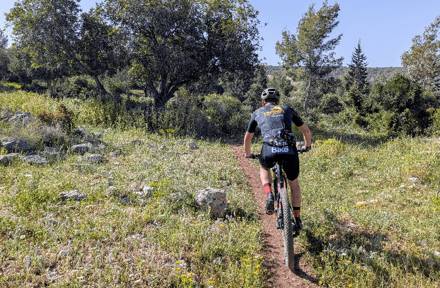 צילום: אריק פלדמן, ארכיון הצילומים של קק''ל