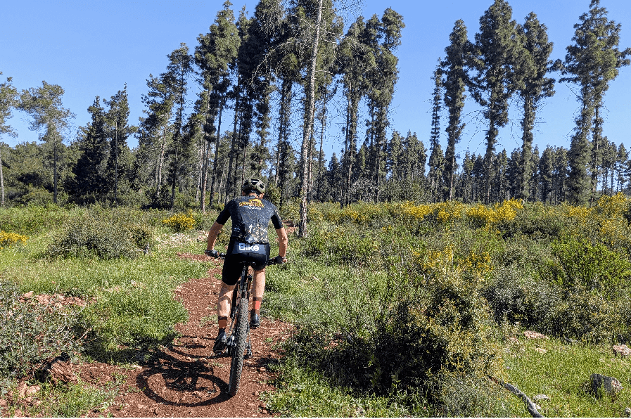 צילום: אריק פלדמן, ארכיון הצילומים של קק''ל