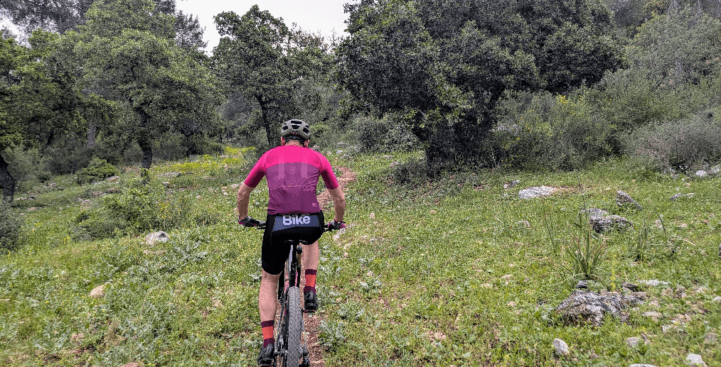 צילום: אריק פלדמן, ארכיון הצילומים של קקל 