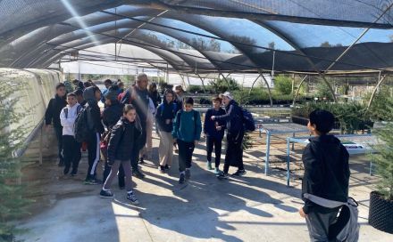 צילום: באדיבות דני פדידיה, מרחב צפון, ארכיון הצילומים של קקל