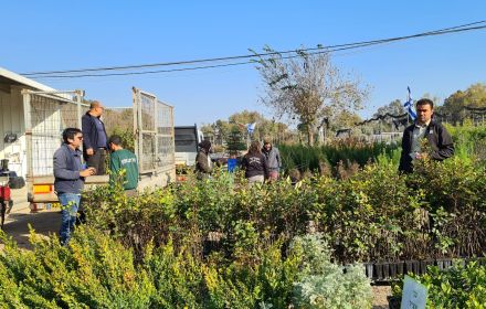 צילום: באדיבות דני פדידה, חלוקת סלי שתילים. 
ארכיון הצילומים של קקל