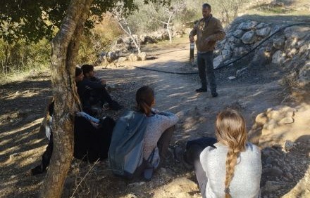 פעילות חינוכית ביער: צילום: לביא גיאת