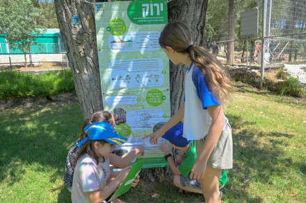 צילום: מיכאל חורי ארכיון הצילומים של קקל