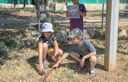 צילום: מיכאל חורי, ארכיון הצילומים של קקל