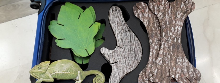 מארז הערכה – ציפור על עץ