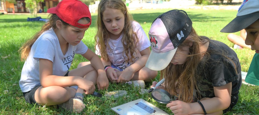 הכול מתחיל בזרע קטן. צילום: מיכל חורי, ארכיון הצילומים של קקל