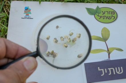 צילום: מיכל חורי, ארכיון הצילומים של קקל