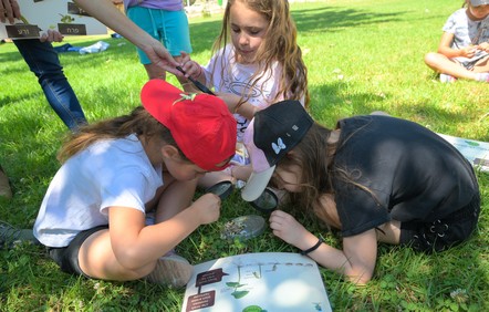 צילום: מיכל חורי, ארכיון הצילומים של קקל