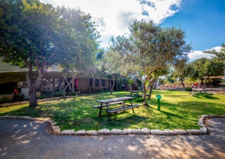 מרכז שדה ויער נס הרים. צילום: בוני שיינמן, ארכיון הצילומים של קקל