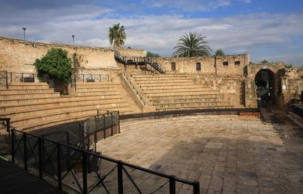 מדשאת פארק שוני-ז'בוטינסקי. צילום: דנה פרידלנדר, ארכיון הצילומים של קקל