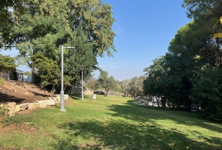 המדשאות בשטח הגיחה.  צילום: אדוה קימלפלד, ארכיון הצילומים של קקל