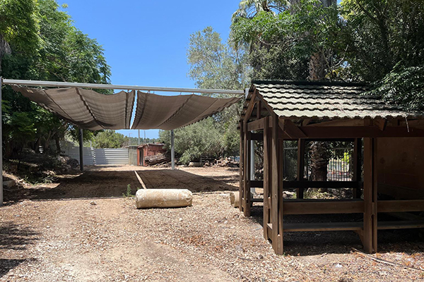 שטח הגיחה במרכז שדה שוני. צילום: אדוה קימלפלד