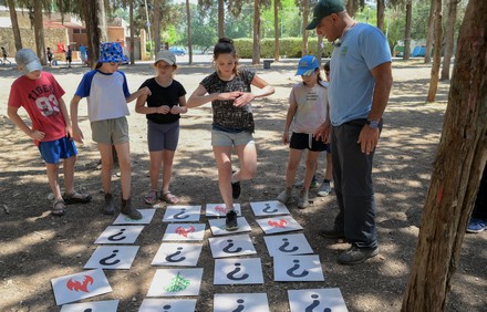 תלמידים בפעילות שומרים על היער. צילום: מיכאל חורי, ארכיון הצילומים של קקל