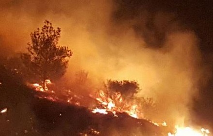 גל שריפות בישראל, נובמבר 2016. צילום: ציון ביטון, קקל