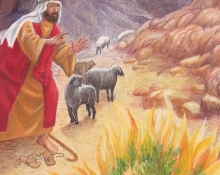 הסנה הבוער. צילום מתוך יוטיוב