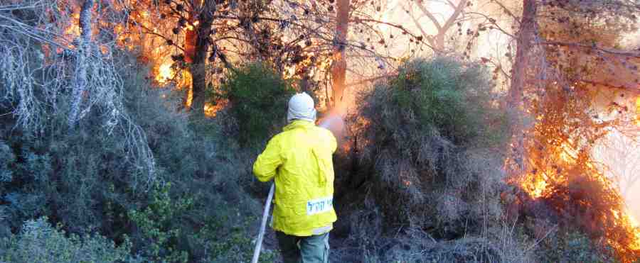 שריפת יער. צילום: ניר הר, ארכיון הצילומים של קקל