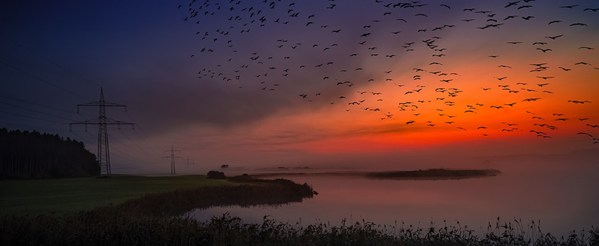 האם זה יום או לילה? תלוי את מי שואלים. תמונה: Lars Nissen from Pixabay