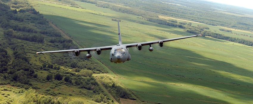 רעש לא רצוי, כמו מטוס שעובר בשמים, יכול לגרום להפרעה בהתנהגויות שהן קריטיות להמשך הקיום של בעלי החיים. צילום: Pixabay