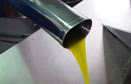 שמן זית נוזל בתהליך ההפקה. צילום: Alexandra0109 from Pixabay