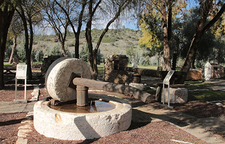 דגם מתקן לריסוק זיתים בגן הארכיאולוגי פארק עדולם-צרפת. צילום: יעקב שקולניק