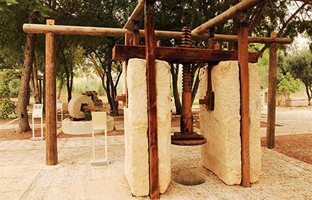 בית בד מטיפוס ניצבי יהודה, בגן הארכיאולוגי. צילום: יעקב שקולניק