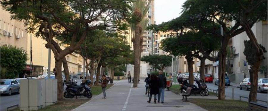 שדרה בתל אביב. צילום: לימור אדרי, ארכיון הצילומים של קקל