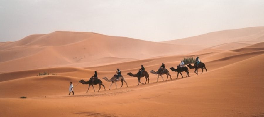 מסובים ונהנים: פעילויות לפסח ולליל הסדר