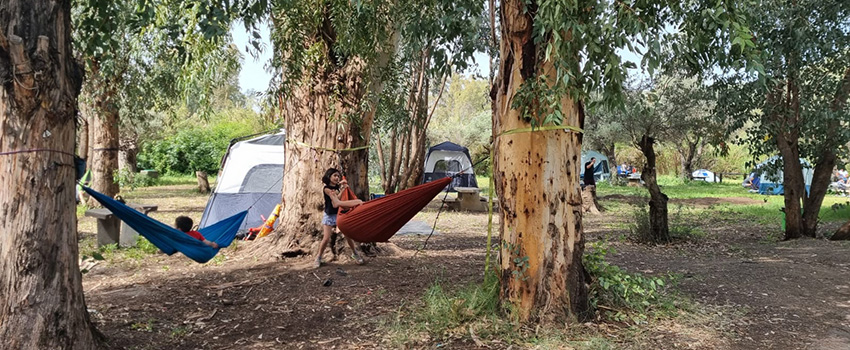 מנוחה בטבע. צילום: ארכיון הצילומים של קקל