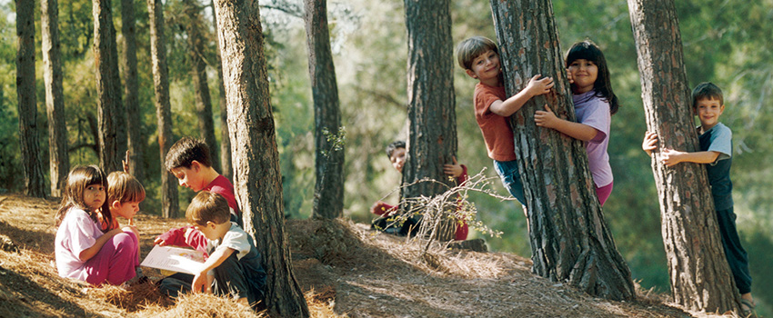 מבלים בכיף ביער. צילום: ארכיון הצילומים של קקל