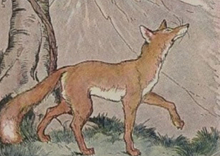 איור: השועל והכרם. תמונה: ויקיפדיה