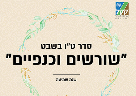 שער חוברת "שורשים וכנפיים"