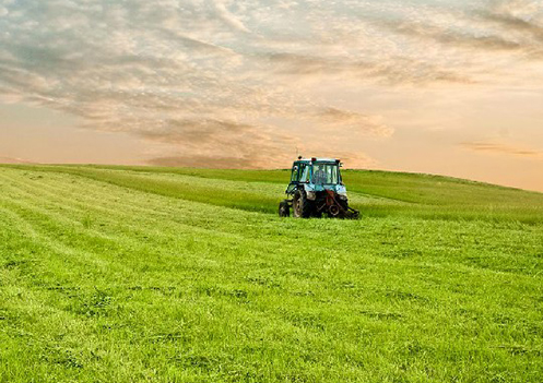 טרקטור עובד בשדה ירוק