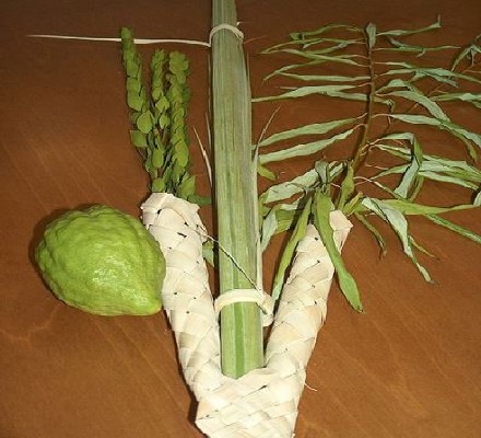 צילום: ויקישיתוף