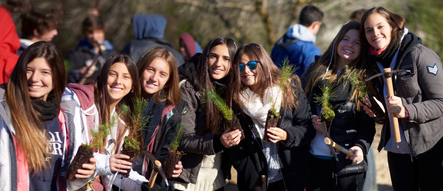 הפנינג טו בשבט ביער צרעה. צילום: יער הרמן, ארכיון הצילומים של קקל 