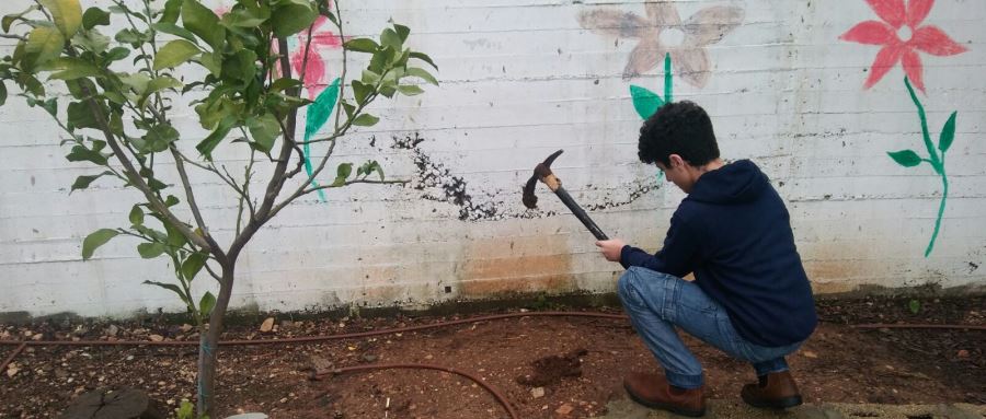 צילום: רים דגש