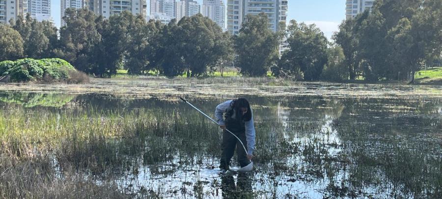 בריכת דורה בפארק שלולית החורף, נתניה. צילום: אדוה קימלפלד