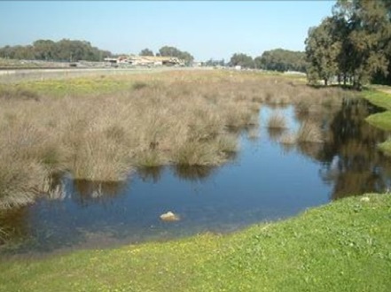 בריכת החורף סמר בחדרה. צילום: דר אלדד אלרון