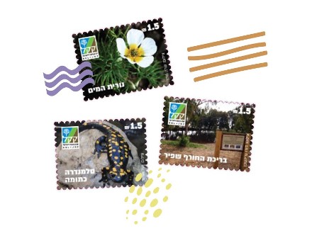 בולי בריכות החורף של קקל