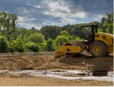 סלילת כבישים יוצרת סכנה לבעלי החיים שחיים בבריכות