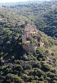 סיורים מודרכים ביערות קק"ל