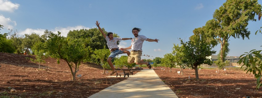  יער שוויץ. צילום: מיכאל חורי, ארכיון הצילומים של קקל