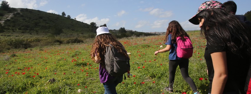 צילום: יוסי זמיר, ארכיון הצילומים של קקל