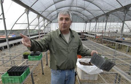 לא מפסיק לשתול, מדין ניר. צילום: גיא אסיאג