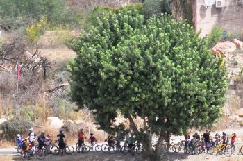 טיולי אופניים למשפחות. צילום: גידי בשן, באדיבות קקל