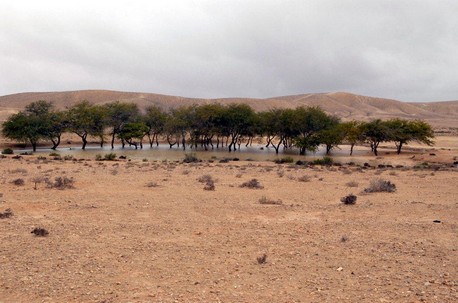 לימן בנגב. צילום: דייב בוימוביץ, ארכיון קקל