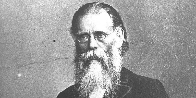 פרופ' הרמן שפירא