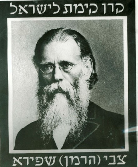 פרופ' צבי הרמן שפירא. צילום: ארכיון קקל